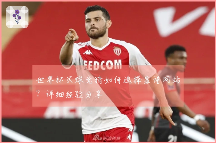 世界杯买球竞猜如何选择靠谱网站？详细经验分享