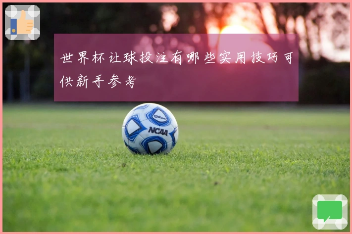 世界杯让球投注有哪些实用技巧可供新手参考
