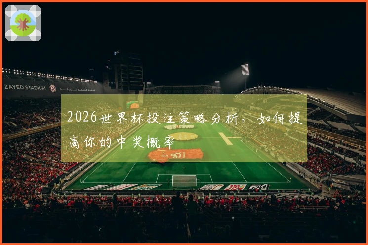 2026世界杯投注策略分析，如何提高你的中奖概率