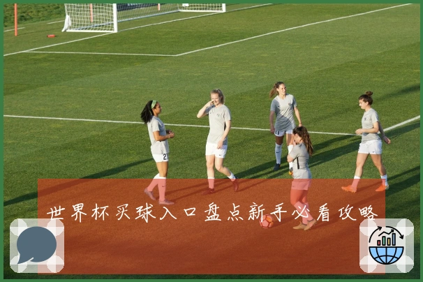 世界杯买球入口盘点新手必看攻略