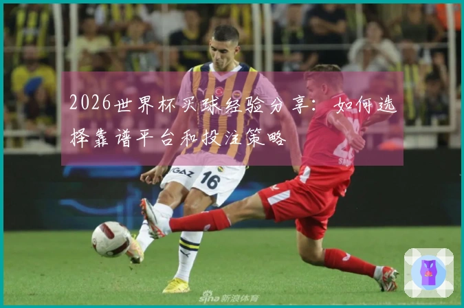 2026世界杯买球经验分享：如何选择靠谱平台和投注策略
