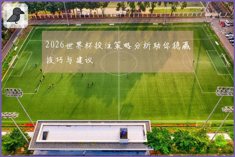 2026世界杯投注策略分析助你稳赢技巧与建议