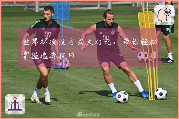 世界杯投注方式大对比，带你轻松掌握选择技巧