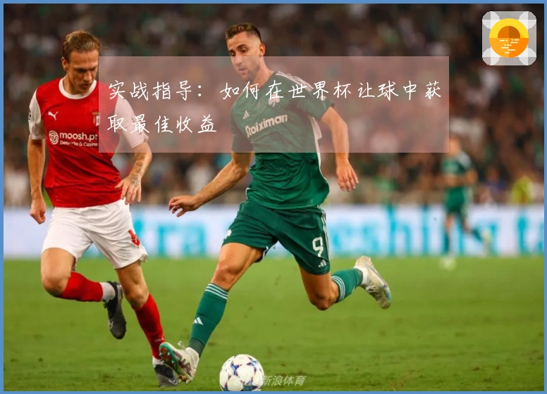 实战指导：如何在世界杯让球中获取最佳收益