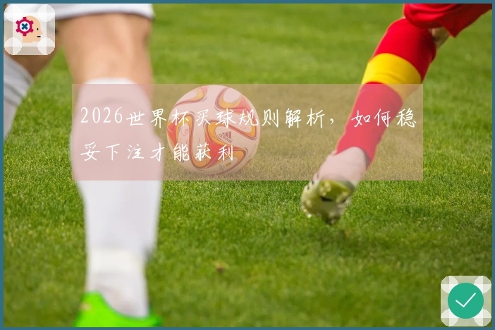 2026世界杯买球规则解析，如何稳妥下注才能获利