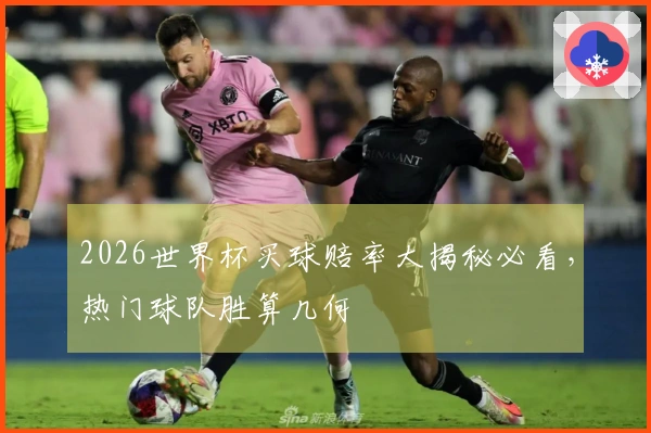 2026世界杯买球赔率大揭秘必看，热门球队胜算几何