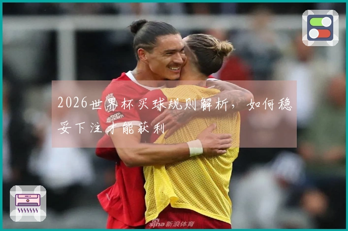 2026世界杯买球规则解析，如何稳妥下注才能获利