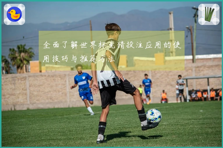 全面了解世界杯竞猜投注应用的使用技巧与推荐方法