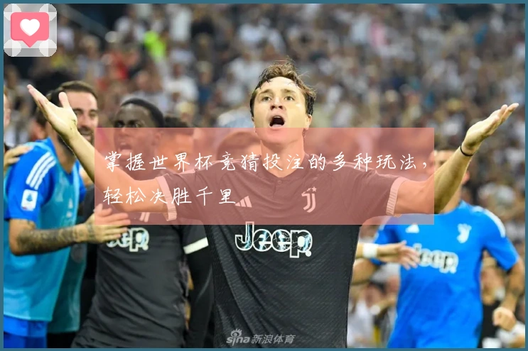 掌握世界杯竞猜投注的多种玩法，轻松决胜千里
